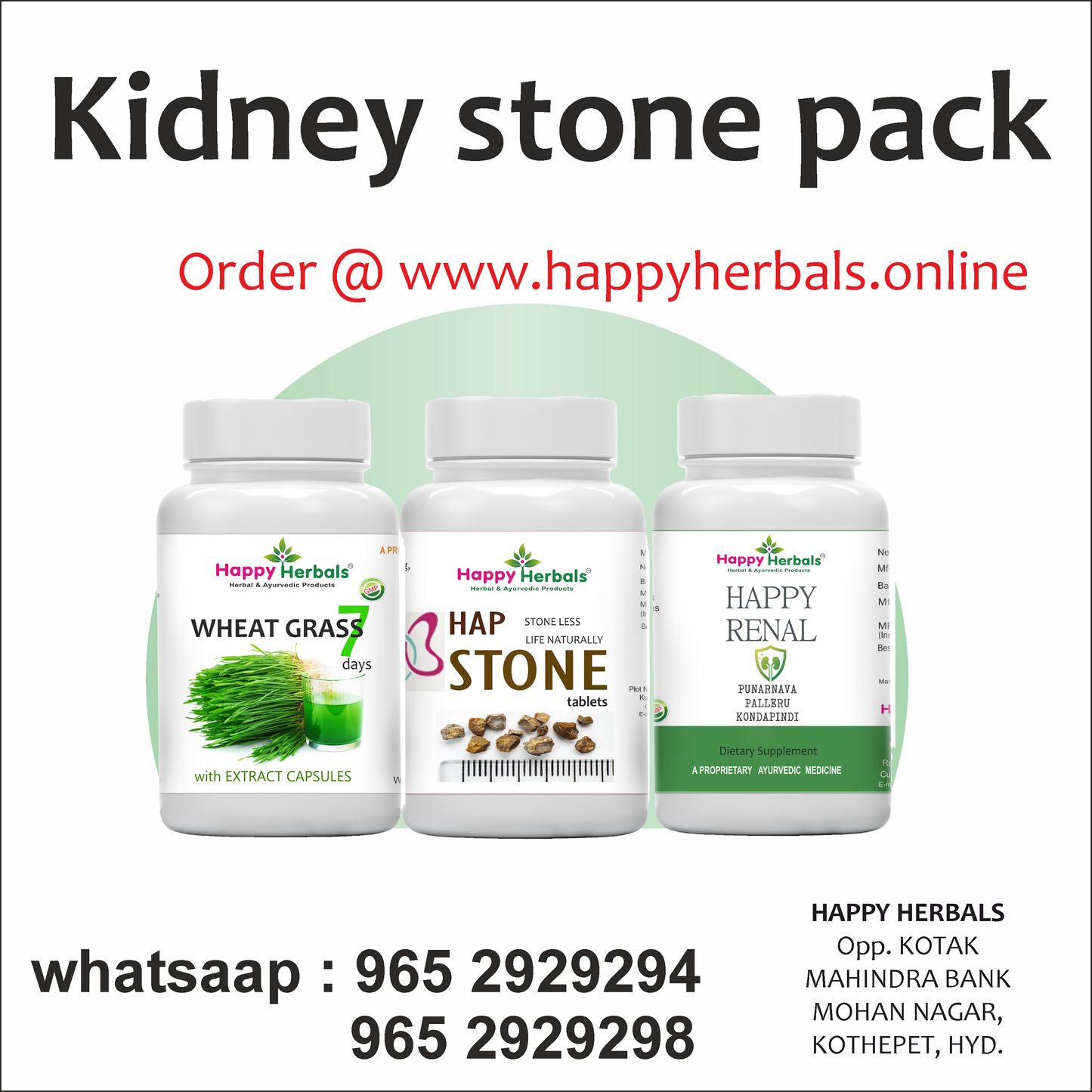 Konda Pindi / Pashan bhed Powder - 100g