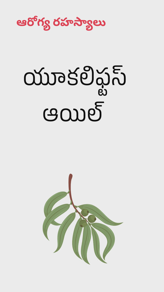 Eucalyptus Oil / Neela Giri Tailam 30ml